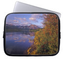 Search for mirrored cases Scenic