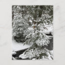 Search for fevers postcards Winter