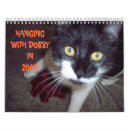 Search for humor calendars Cat