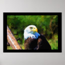 Search for maturity posters Eagle