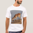 Search for antelope clothing Buck