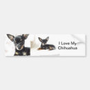 Search for chihuahua bumper stickers Car