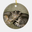 Search for couch christmas tree decorations Pet