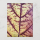 Search for autumn design postcards Pattern
