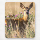 Search for young animal mousepads Deer