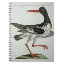 Search for catcher notebooks School