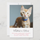 Search for kitten christmas cards Cats