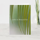 Search for kauai cards Photography