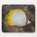 Search for outdoors mousepads Full length