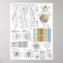 Search for massage posters Acupuncture
