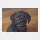 Search for labrador retriever tea towels Animal