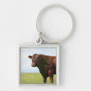 Search for meadow key rings Standing