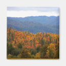 Search for cloudy magnets Photograph
