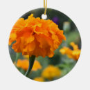 Search for marigold christmas tree decorations Nature