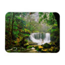 Search for rainforest magnets National park