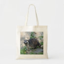 Search for racoon bags Cute