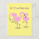 Search for cartoon flamingo postcards Funny