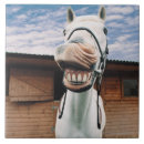Search for horse tiles Nature