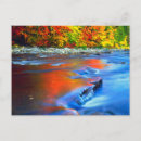 Search for reflections postcards Forest