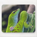 Search for madagascar mousepads Reptile