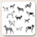 Search for breeds coasters Husky