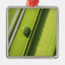 Search for lawn care christmas tree decorations Grass