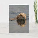 Search for pam cards Canine photographer