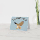 Search for hawks cards Red tailed hawk