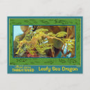 Search for leafy postcards Fish