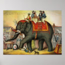 Search for circus arts art Animals