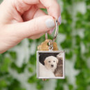 Search for cute animal key rings Puppy