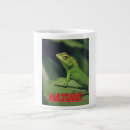 Search for iguana image Nature