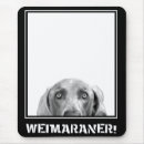 Search for dog design canine electronics Designer