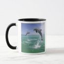 Search for bottlenose dolphin mugs Wildlife