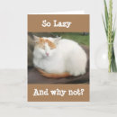 Search for funny son in law cards Photography