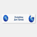 Search for dolphin bumper stickers Ocean