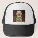 Search for labs hats Humour