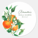 Search for orange stickers Colourful