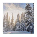 Search for snow ski tiles Alpine