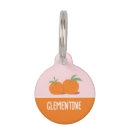 Search for clementine Oranges