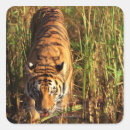 Search for wetlands stickers Nature