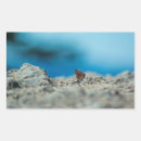 Search for grey stone stickers Blue