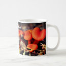 Search for orange mushroom mugs Nature