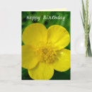 Search for buttercup cards Flower