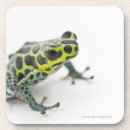 Search for dart coasters Amphibian