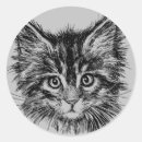 Search for kitten face stickers Feline