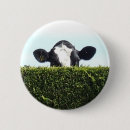 Search for whole badges Green