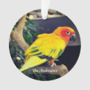 Search for lovebird christmas tree decorations Colourful