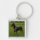 Search for pinscher dog key rings Puppy