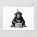 Search for cute chimpanzee postcards Humour